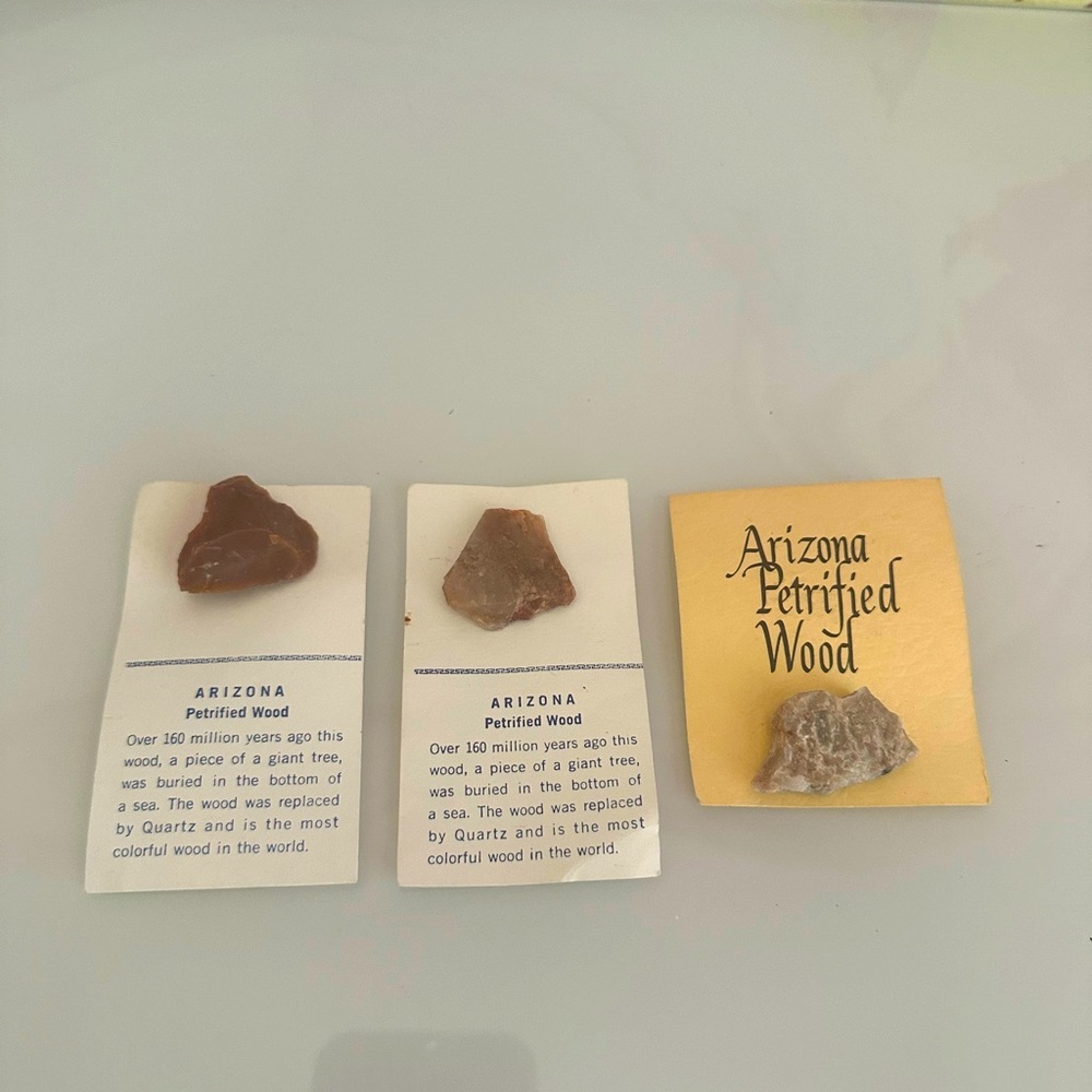 ARIZONA PETRIFIED WOOD PIECES